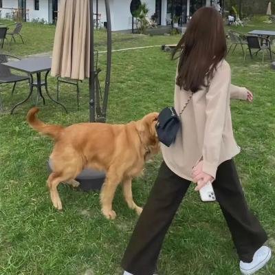 元洲街王后